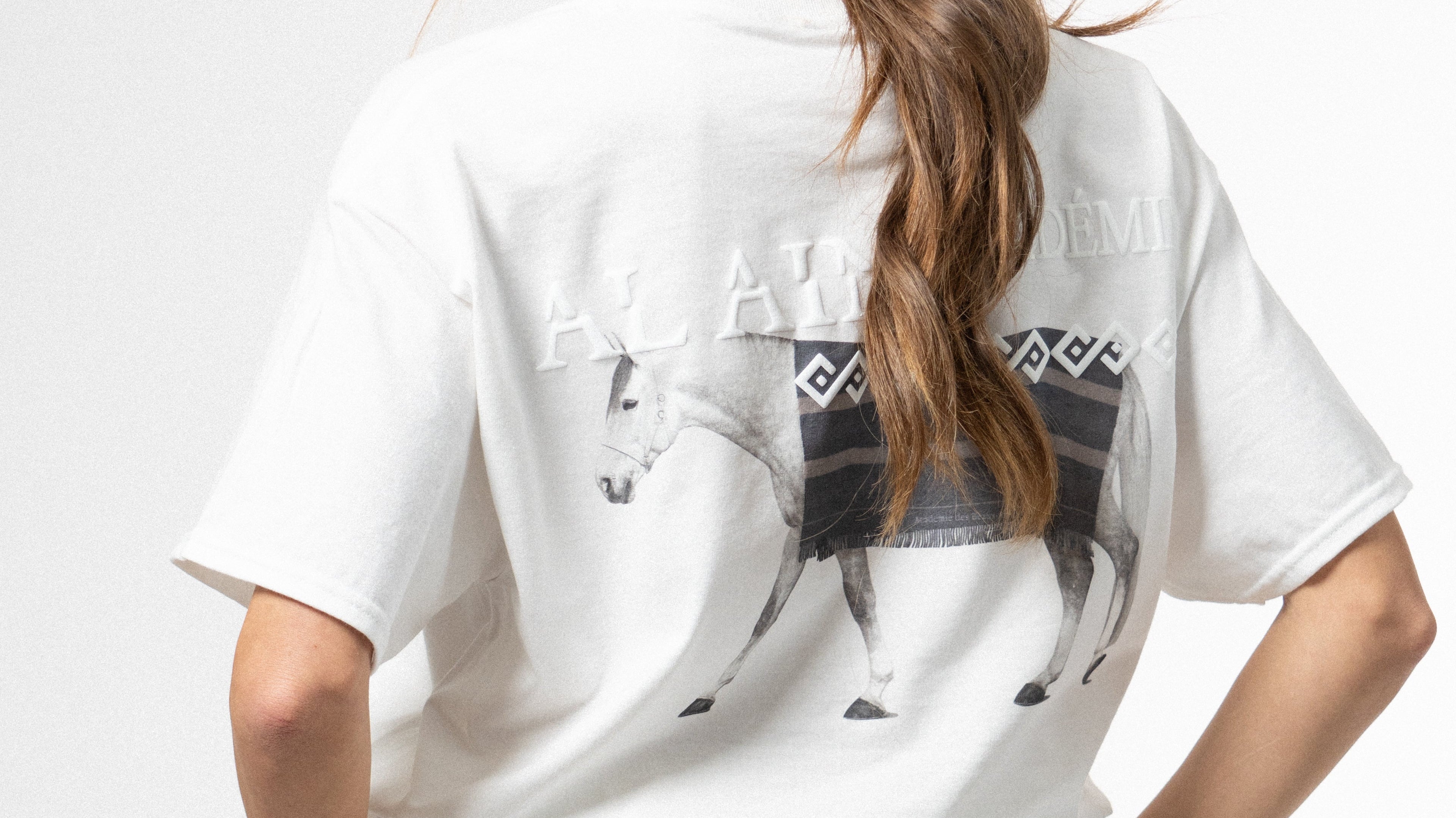 AL AIN ACADÉMIE : Streetwear Contemporain et Passionné