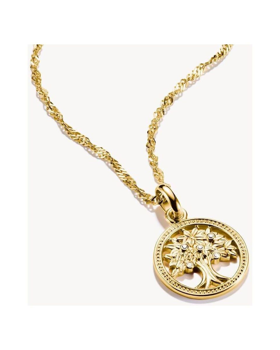 Pendentif charm Arbre de l'Amour en plaqué or 18k avec pierres blanches sur chaîne, bijou délicat et élégant.