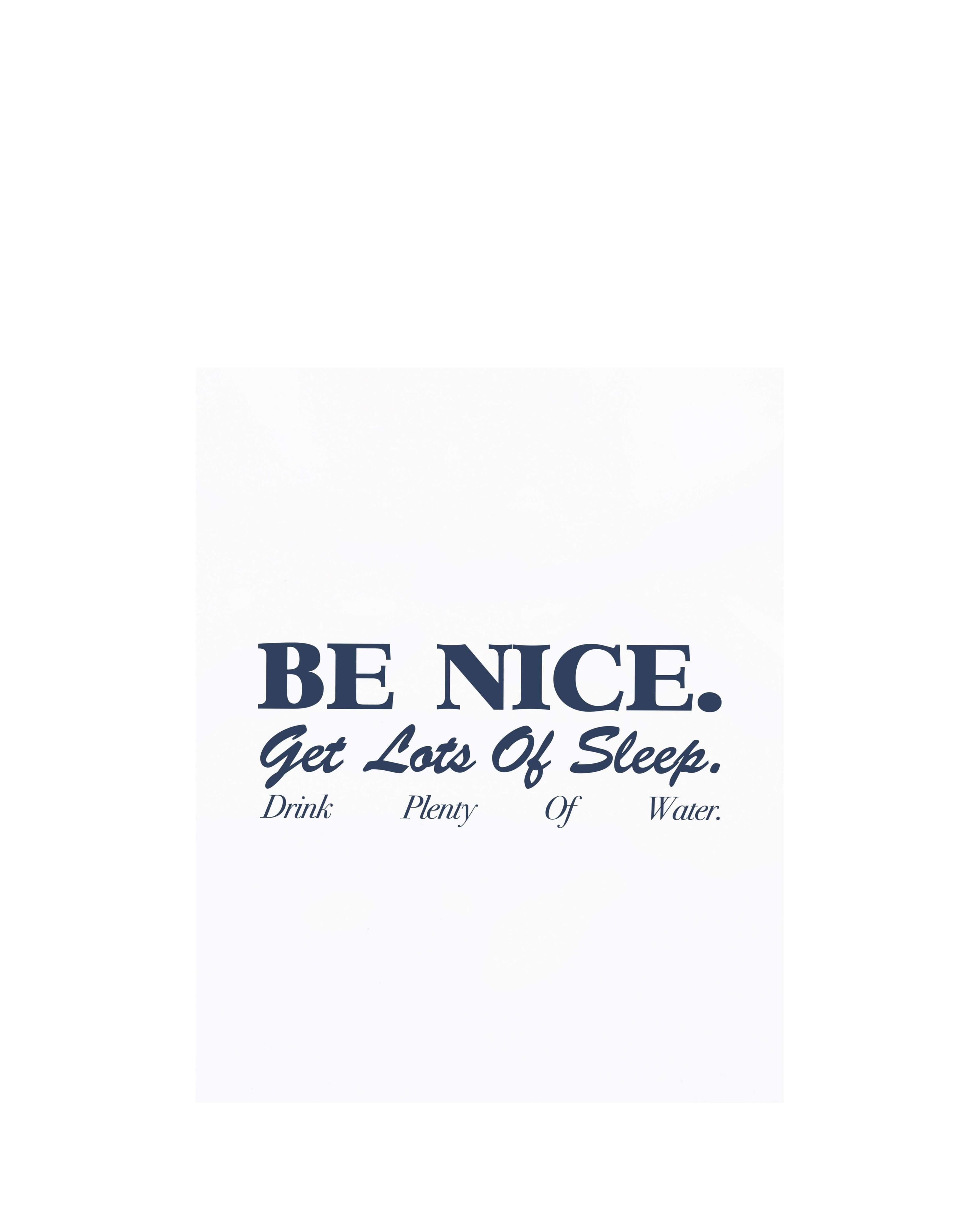 Be Nice Soft Ringer Tee