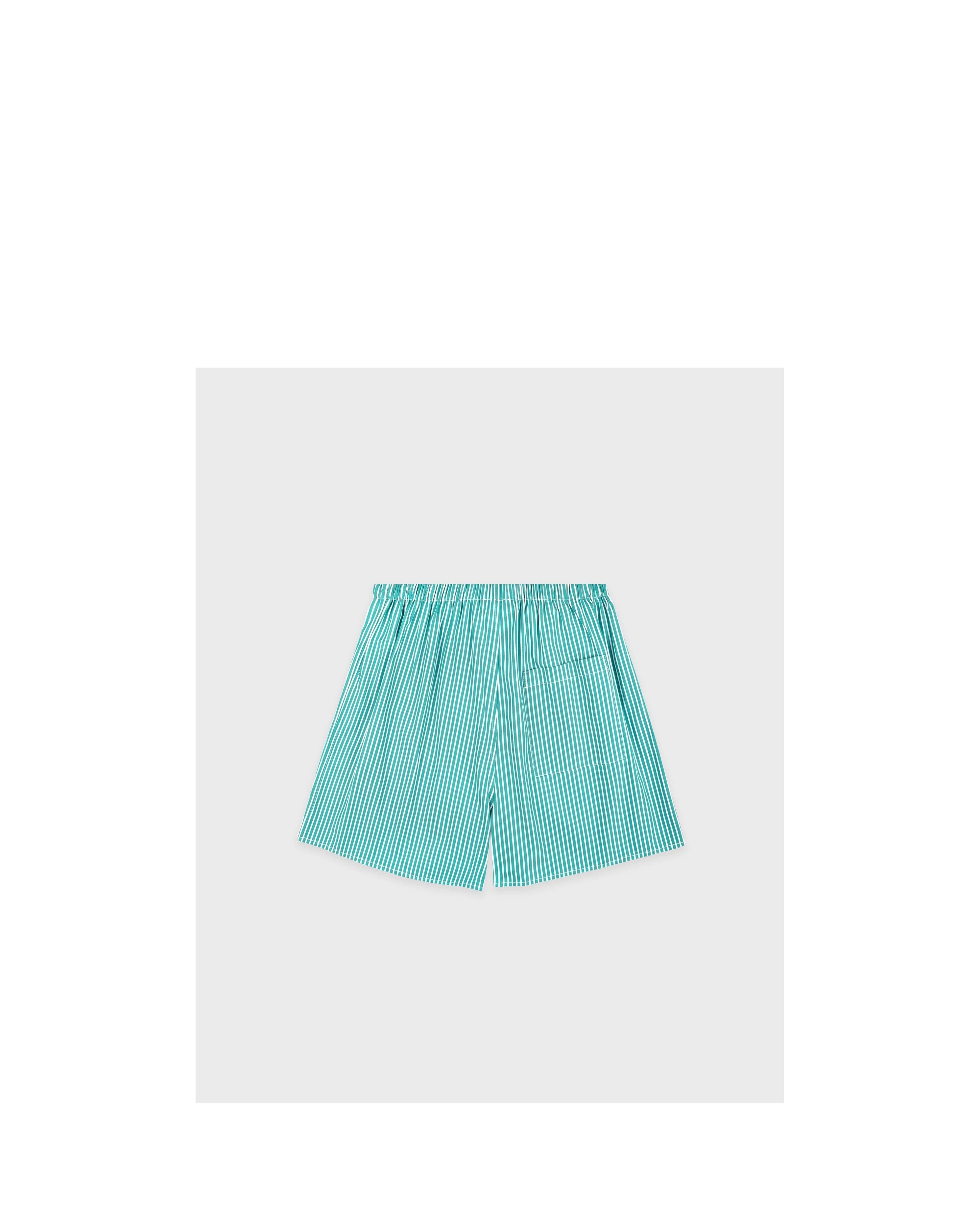 NY Crest Mini Boxer