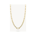 Collier Charm Paperclip en plaqué or 18 carats avec maillons délicats et connect link ovale.