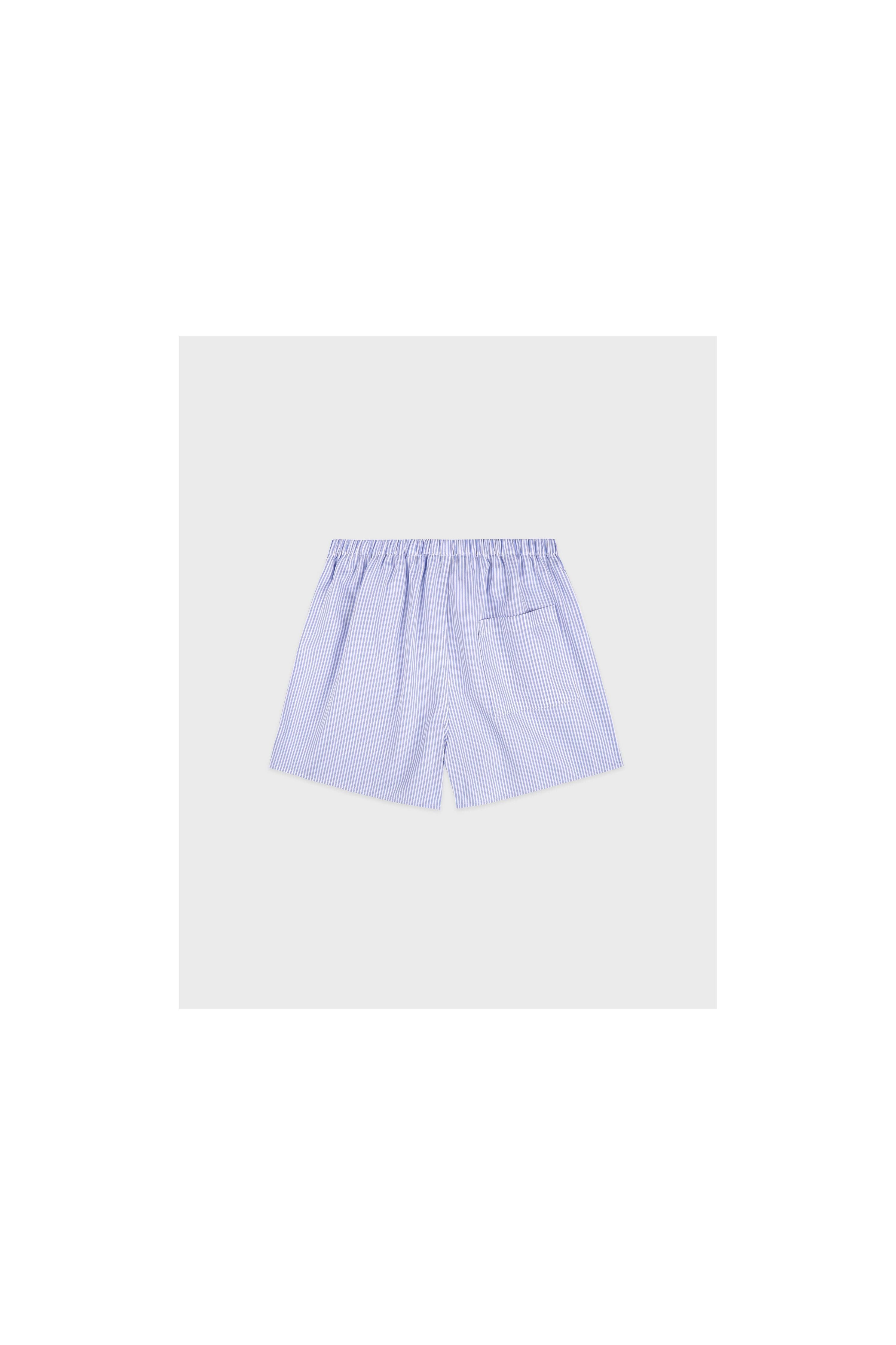 SRC Mini Boxer
