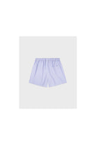 SRC Mini Boxer